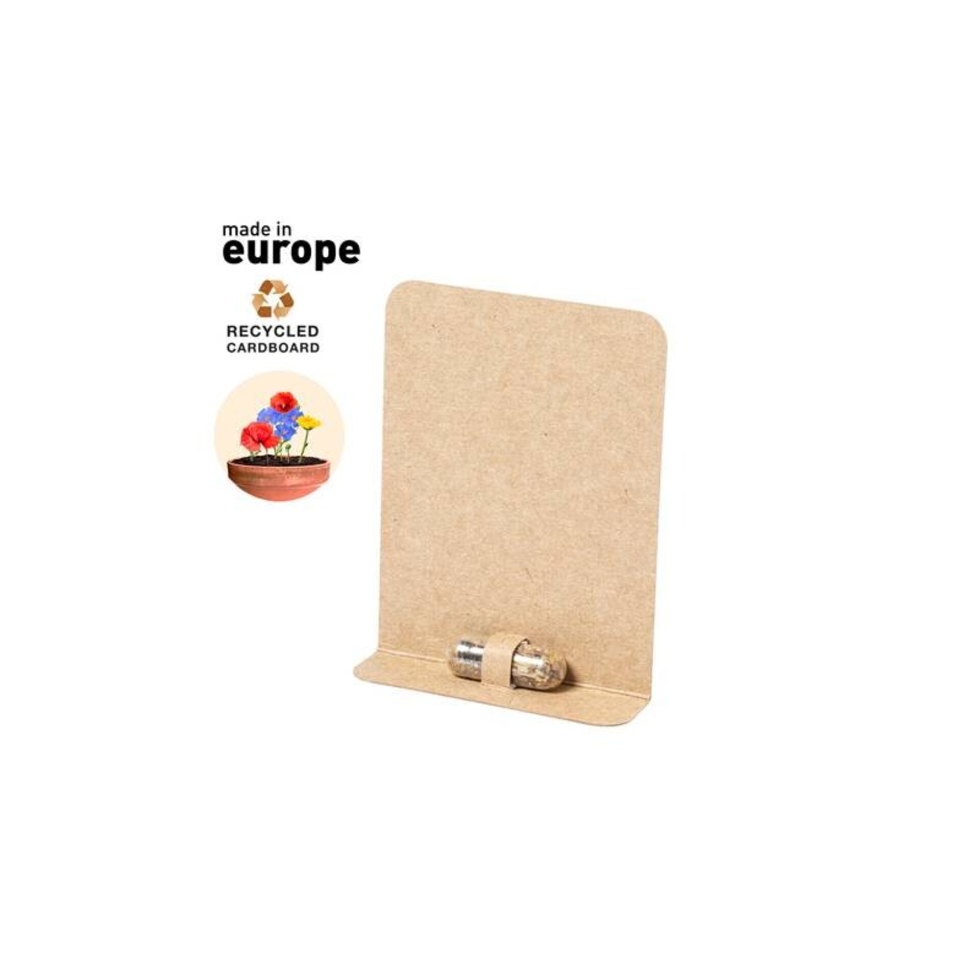 CÁPSULA CON SEMILLAS ECOLÓGICO + CAJITA DE REGALO - 2