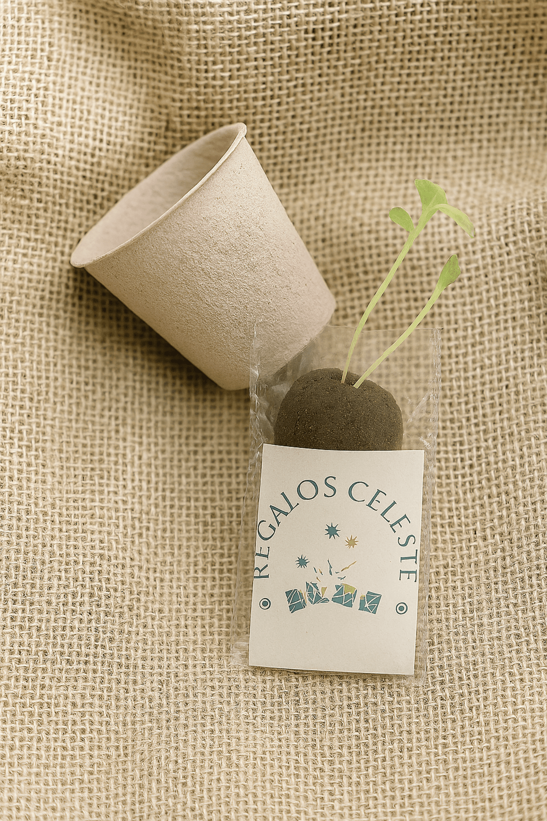 Bomba de semillas con maceta bio - 3