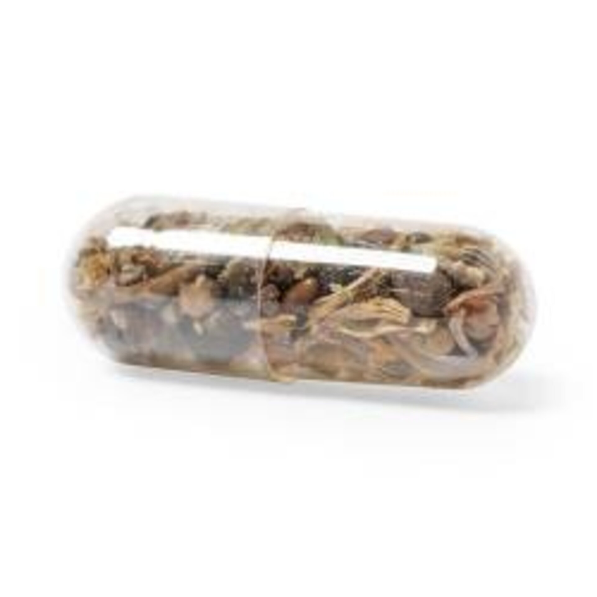 CÁPSULA CON SEMILLA ECOLÓGICO - 3