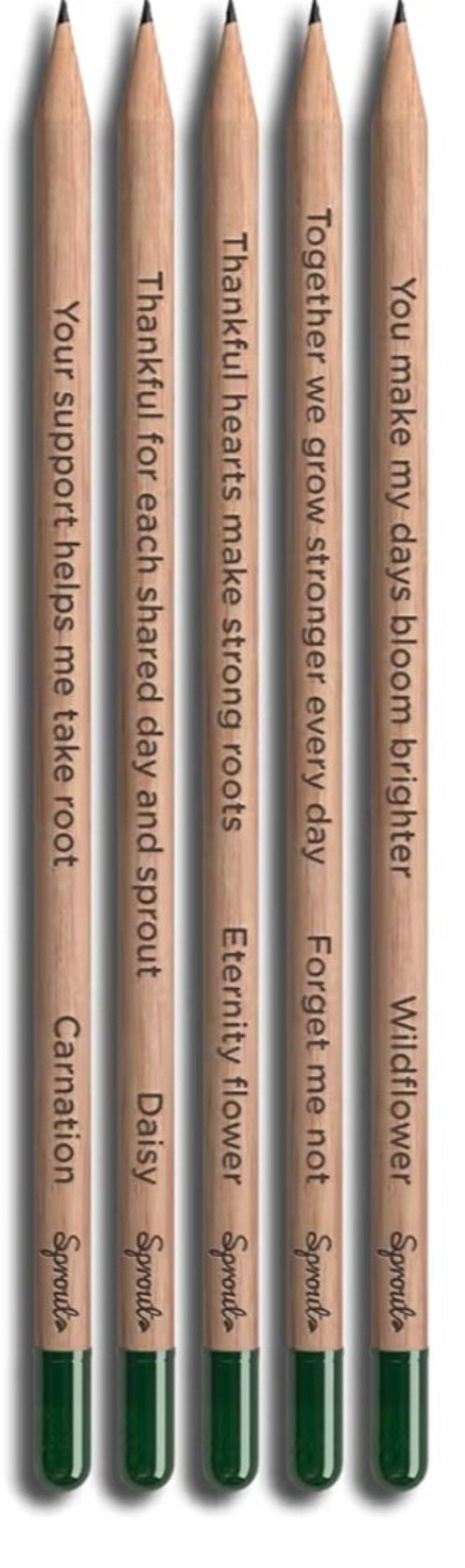 lápiz plantable - 2