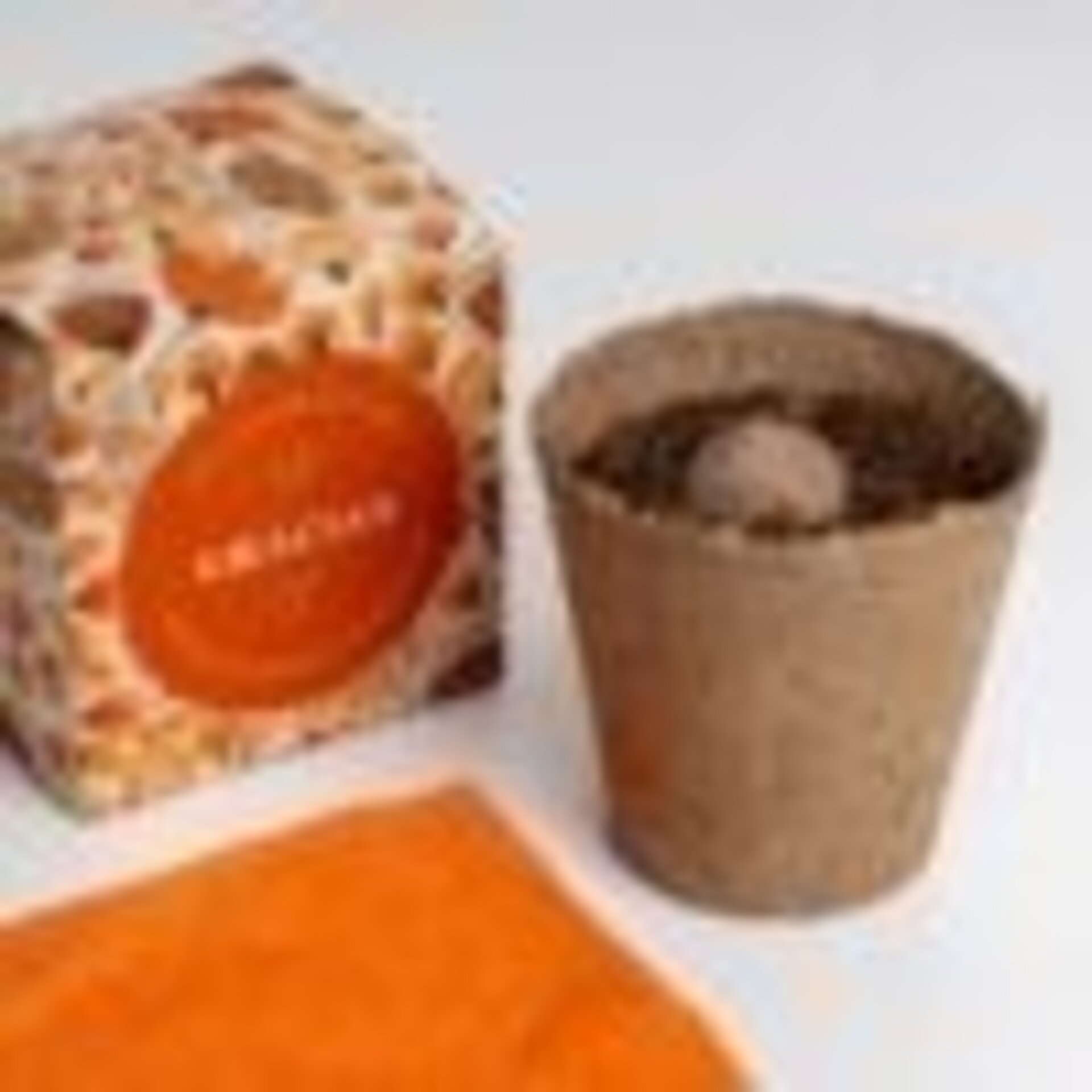 Kit autocultivo díselo con flores (Gracias) - 3