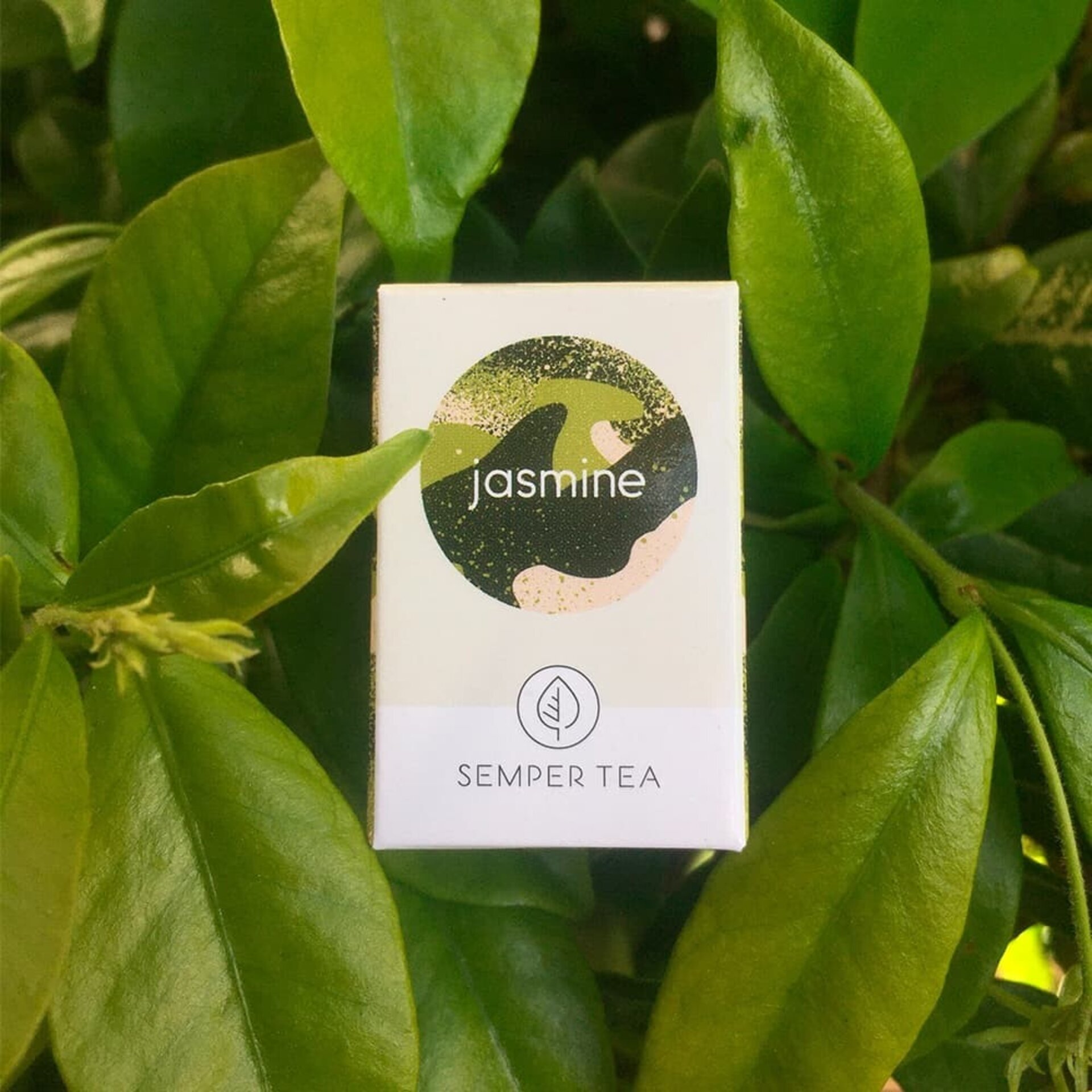 JASMINE té verde orgánico I Té pirámide - 3