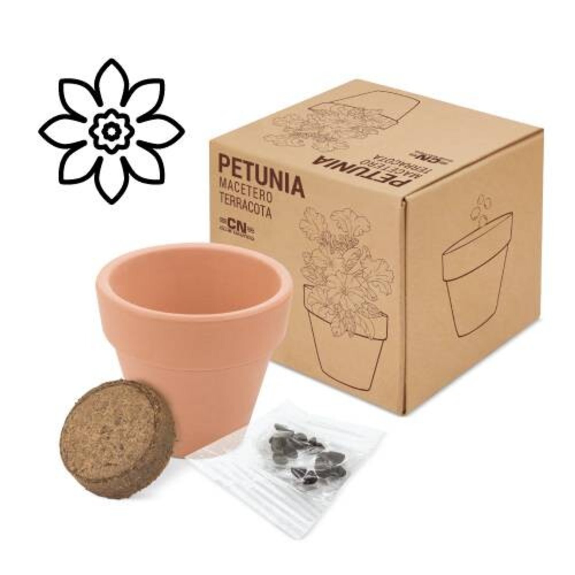 MACETA TERRACOTA CON SEMILLAS DE PETUNIA - 1