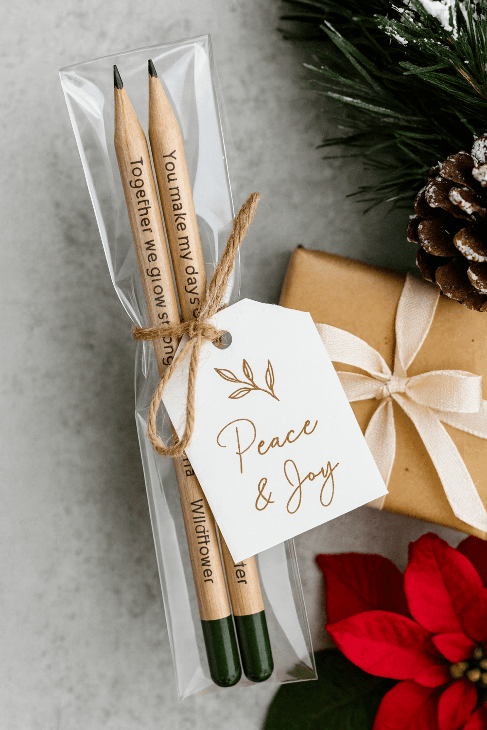 Pack lápices de semillas 2 ud - 2