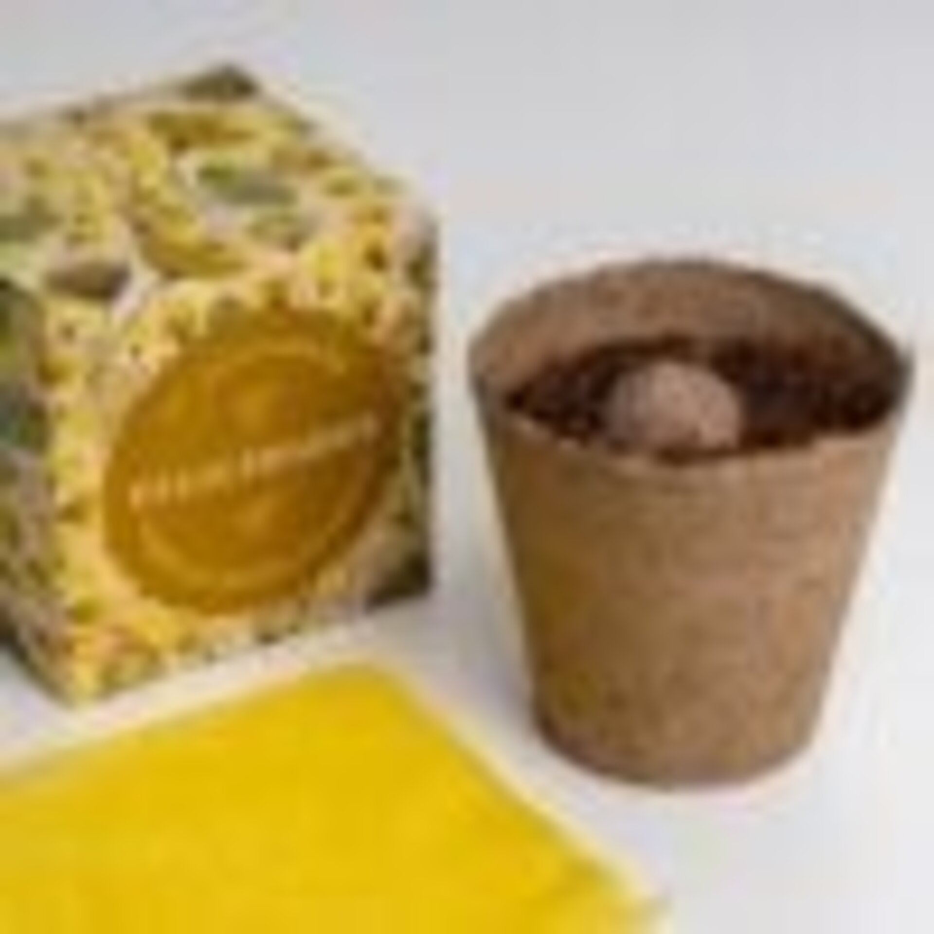 Kit autocultivo díselo con flores (Felicidades) - 4