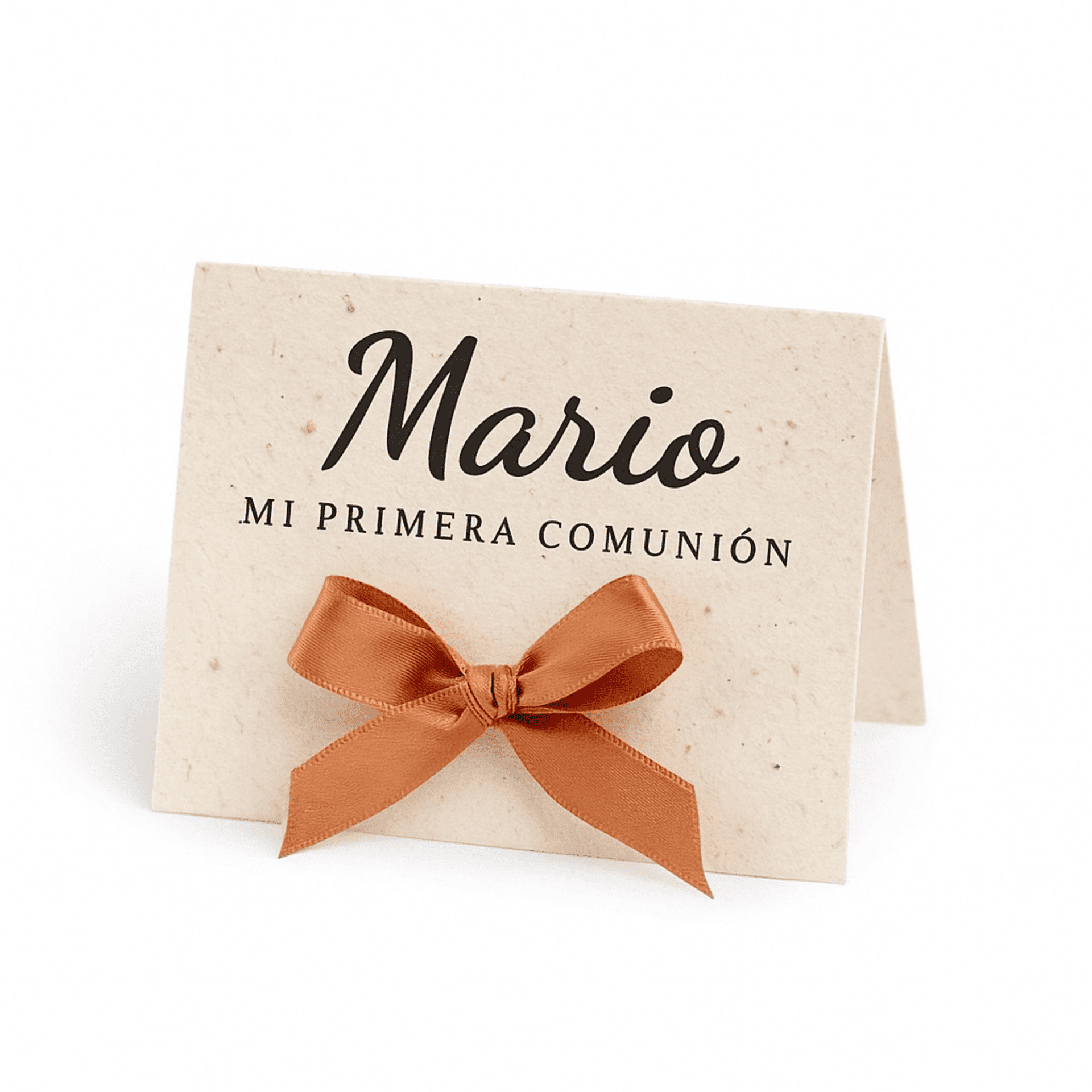 Marcasitios hecho con papel de semillas - 2