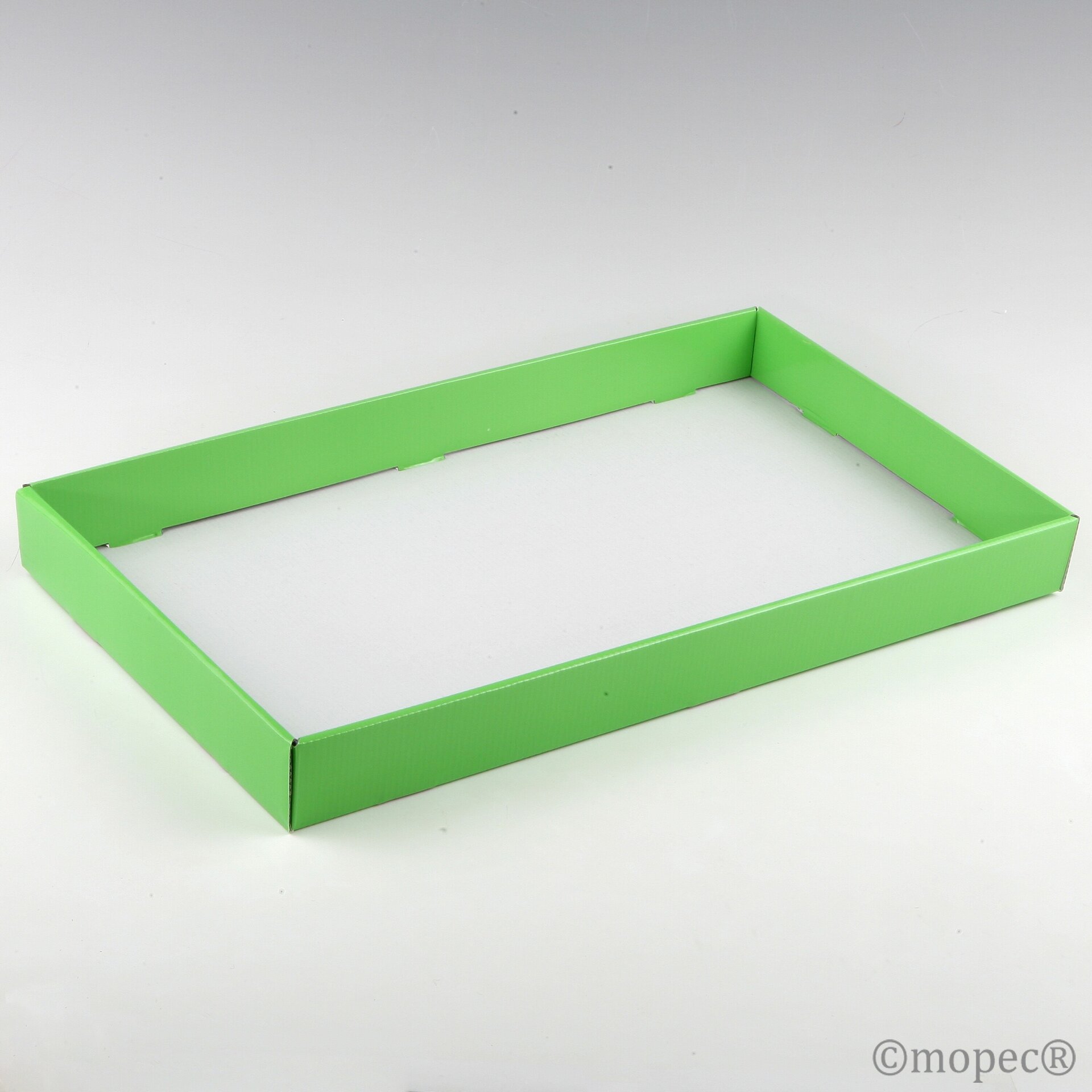 Bandeja lujo charol verde 46x27x4,5cm - 1