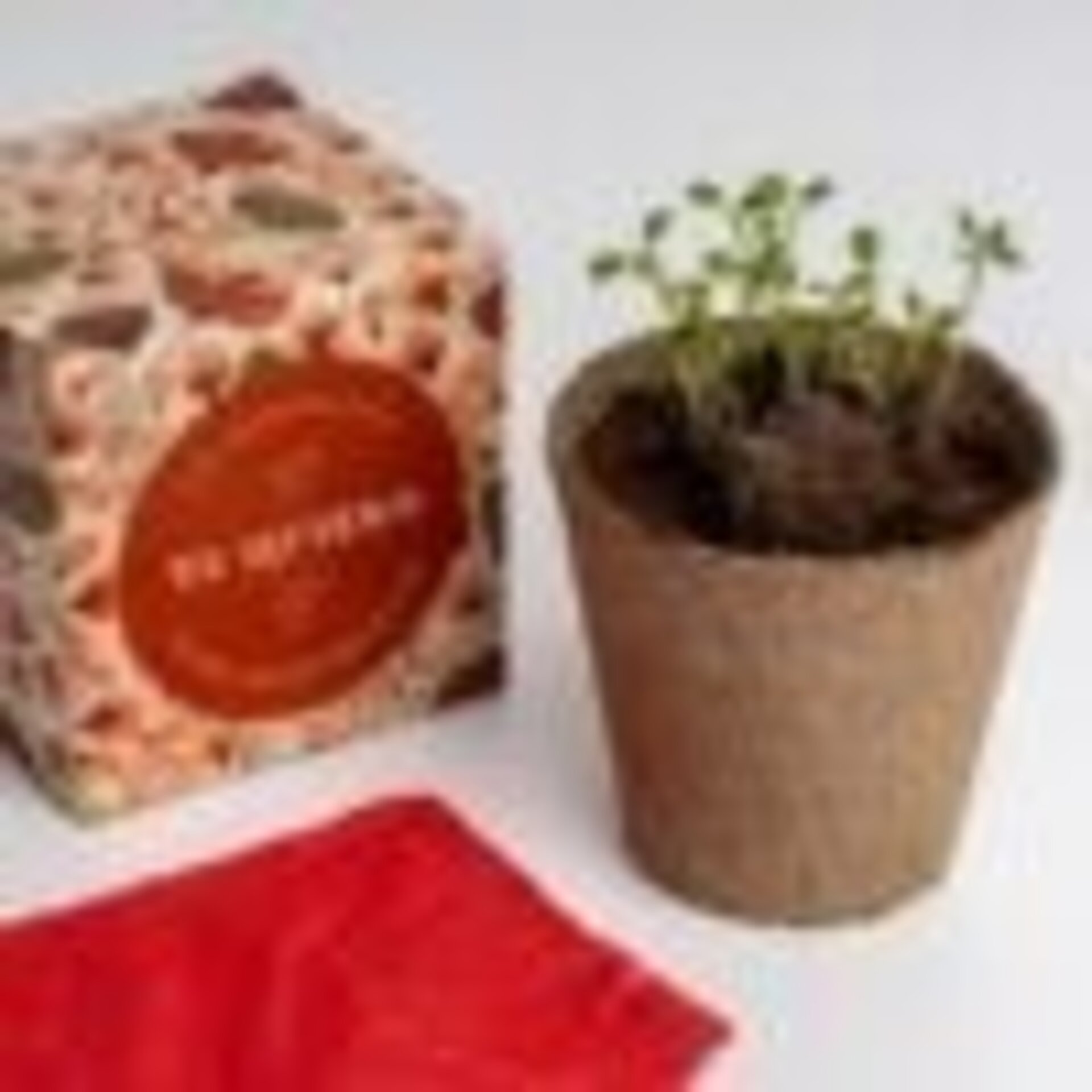 Kit autocultivo díselo con flores (Te quiero) - 2