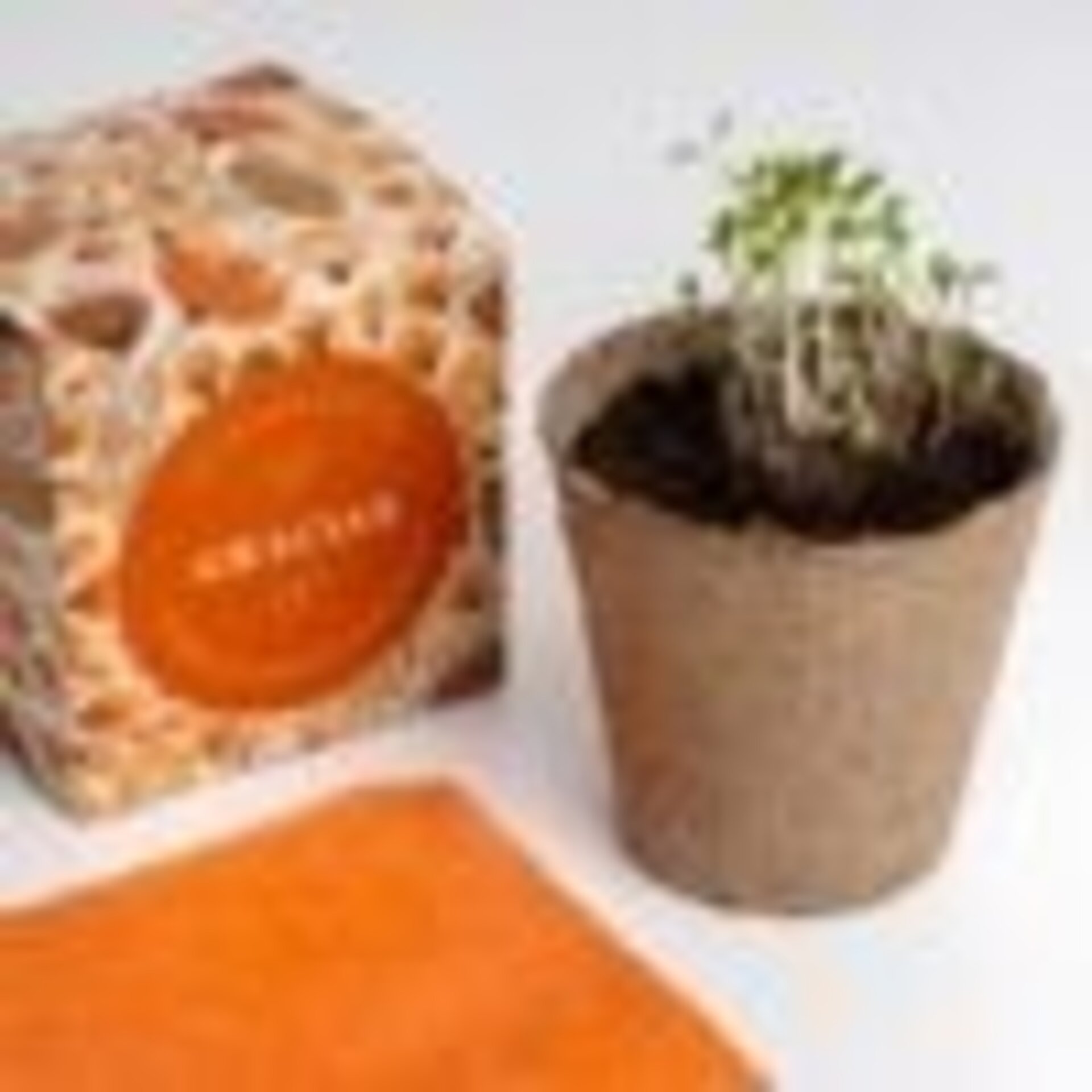 Kit autocultivo díselo con flores (Gracias) - 2