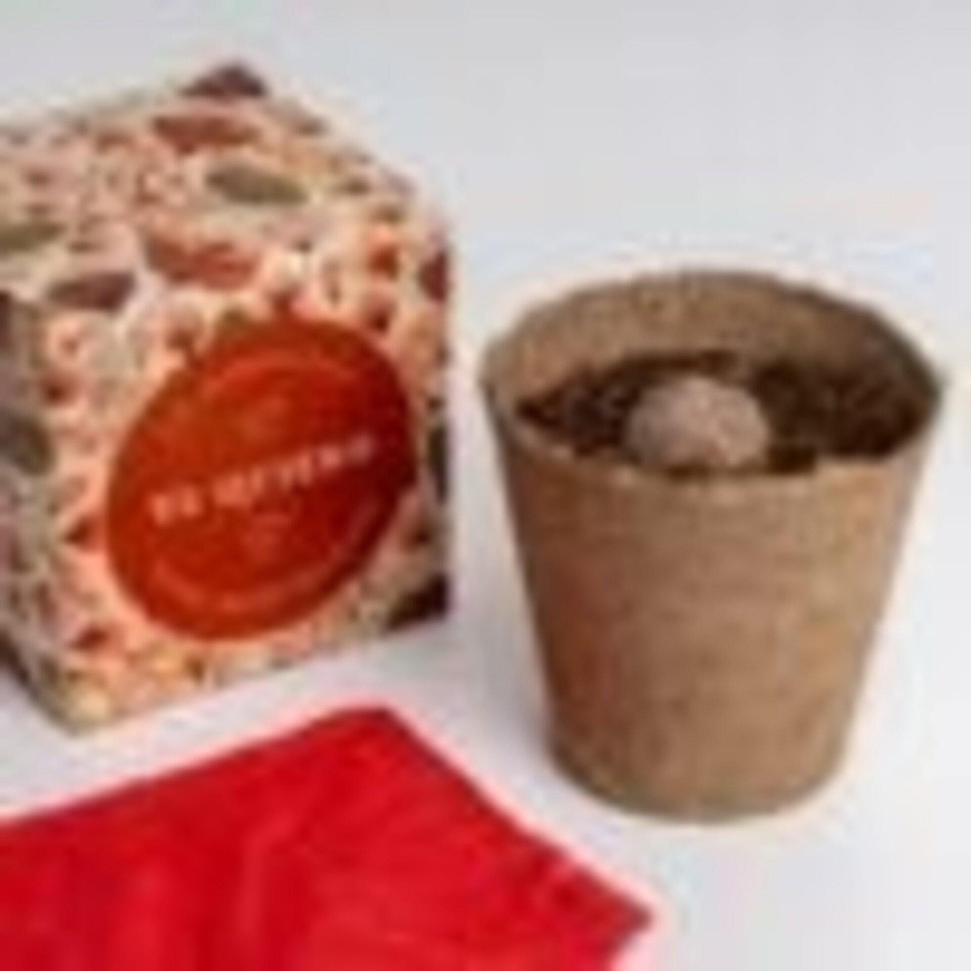 Kit autocultivo díselo con flores (Te quiero) - 4