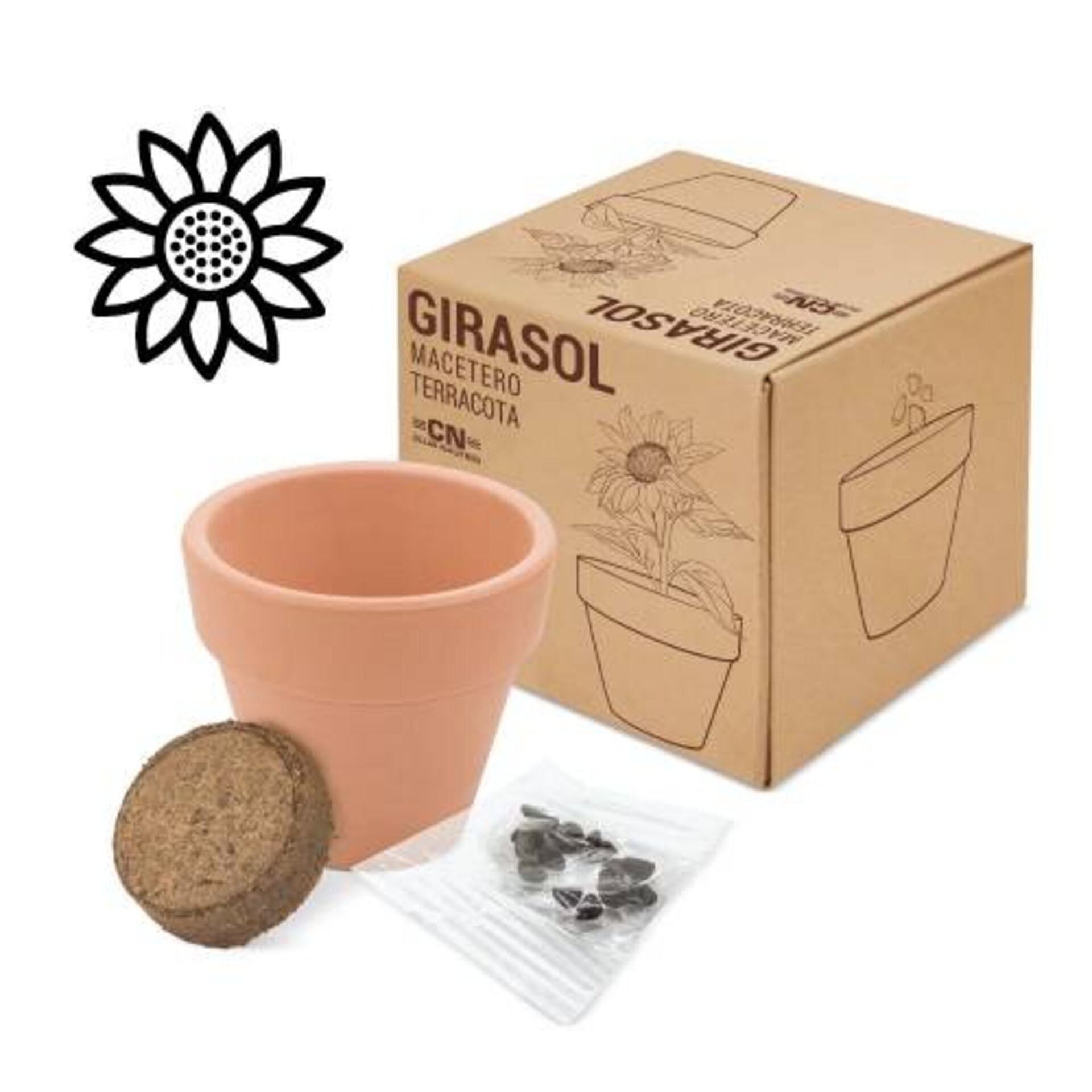 MACETA TERRACOTA CON SEMILLAS DE GIRASOL - 1